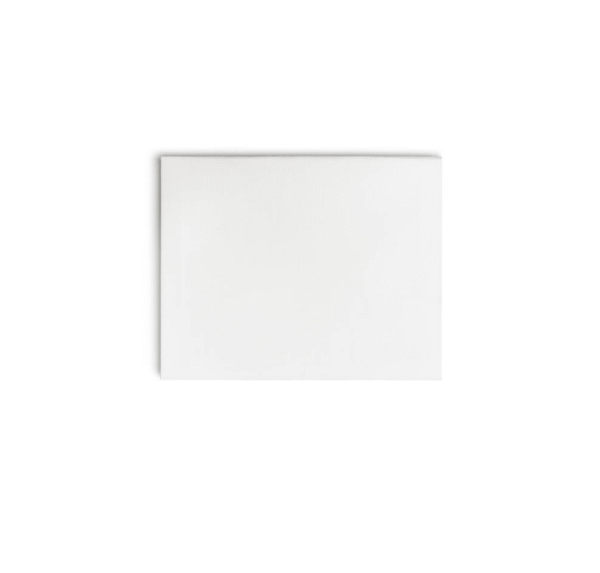 Canvas 12